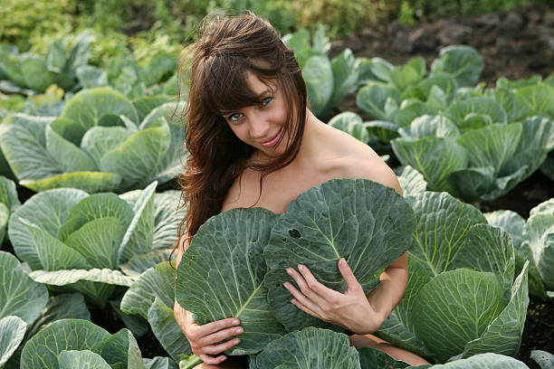 femme assis dans le champ de chou. - green cabbage photos et images de collection