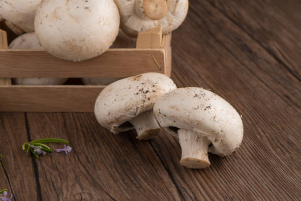 istock Champignons in a wooden box 899035272