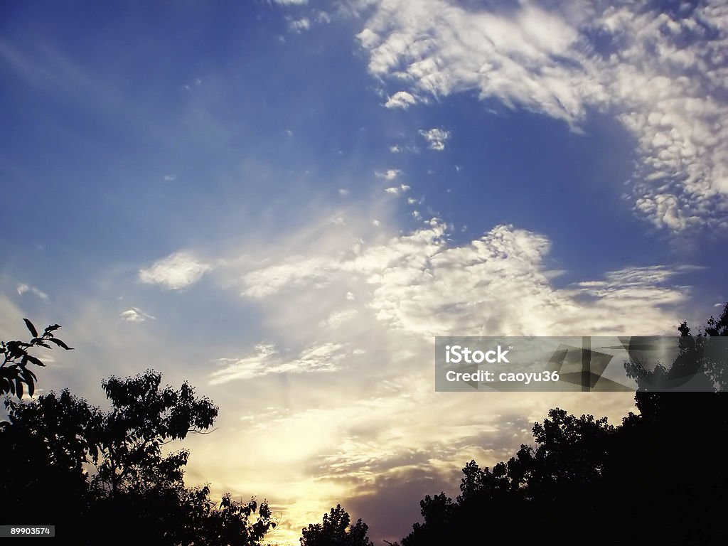tramonto - Foto stock royalty-free di Albero