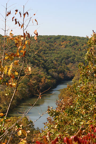 istock Overlook view of the River 89903768