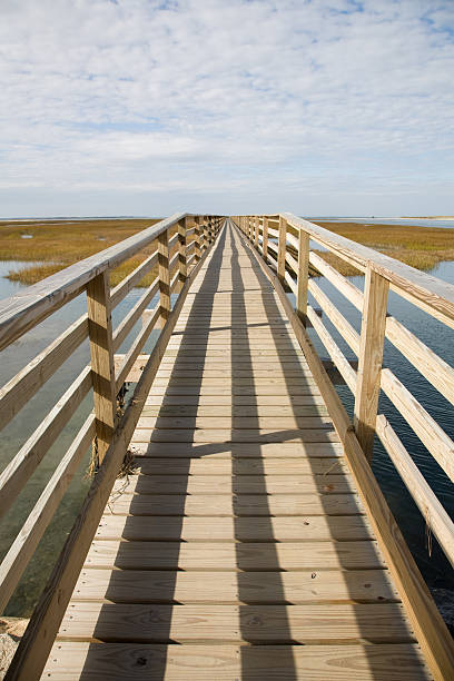 Boardwalk - foto de acervo