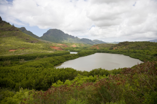 Alekoko Fish Pond made by mythical Menehune People on Kauai