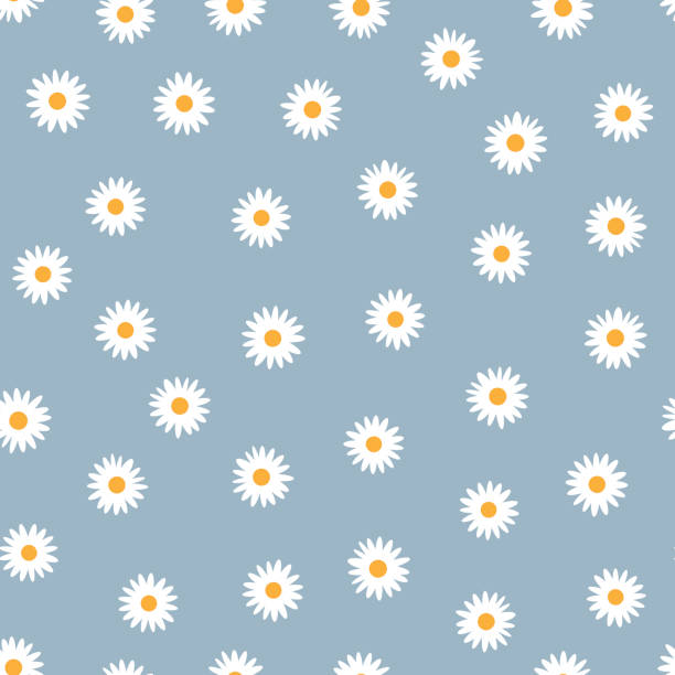 Daisy Flower Vector Art Graphics Freevector Com Daisy Flower Vector Art Graphics Freevector Com