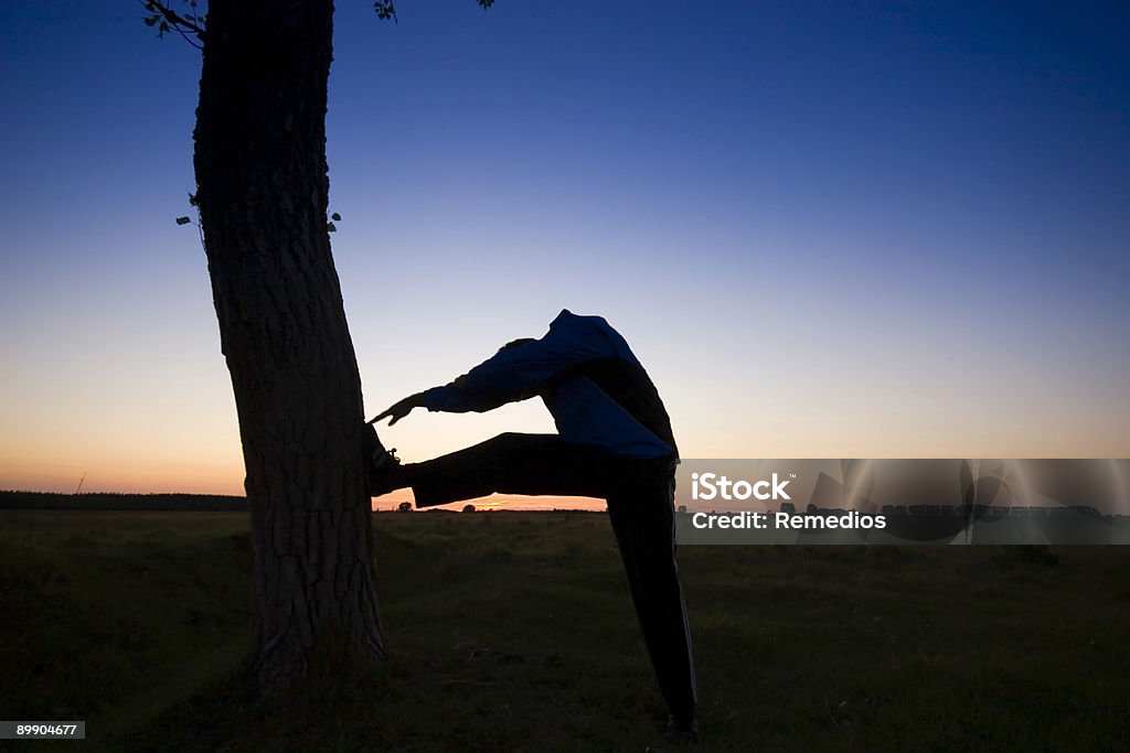 Закат с дерево - Стоковые фото Вдохновение роялти-фри