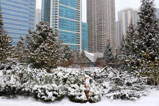 istock Snowy day in Chicago. 899047862