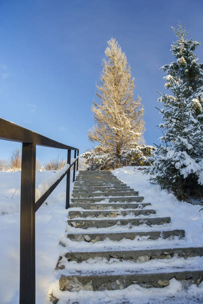 istock Staircase with handrails in winter 899047926