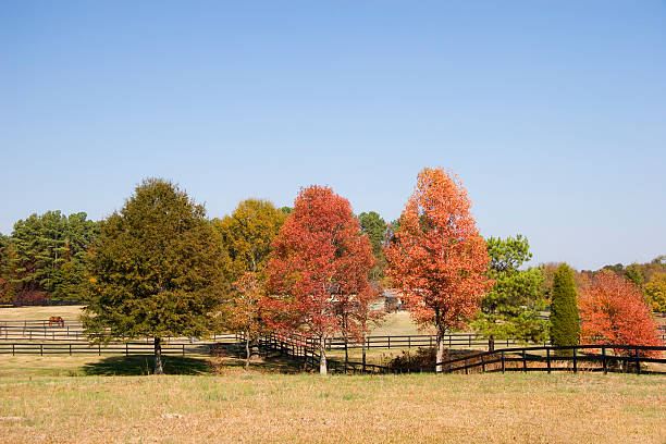 istock Horse Farm in the Fall 89904936
