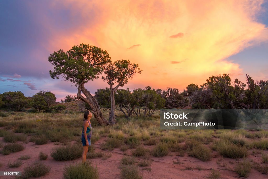 Appreciating dramtic sky A woman in awe of a beautiful high desert sunset. Arizona Stock Photo