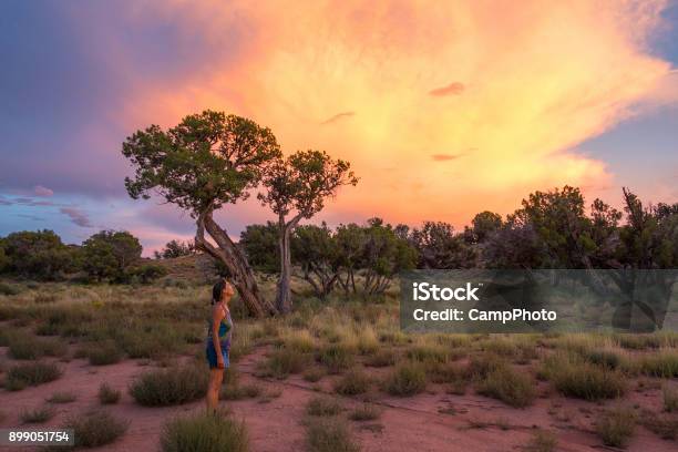 Appreciating Dramtic Sky Stock Photo - Download Image Now - Arizona, Surprise, Monsoon
