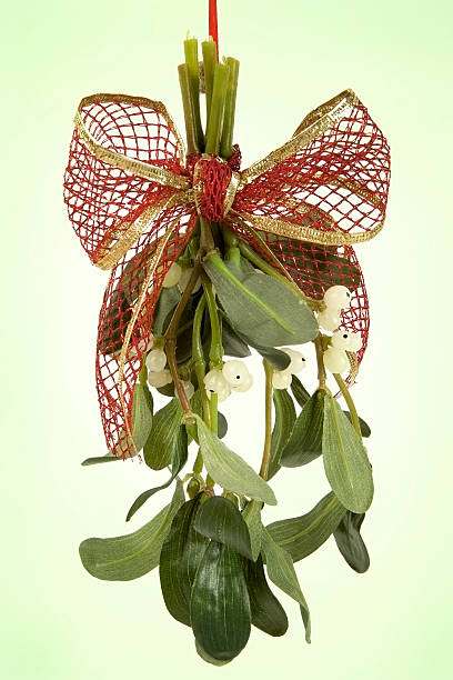 mistel springs - ribbon gift bow christmas stock-fotos und bilder