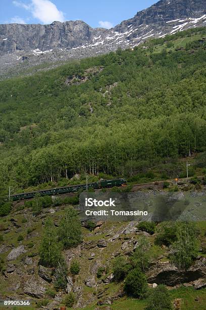 Flamsbana 2 - Fotografie stock e altre immagini di Albero - Albero, Ambientazione esterna, Bellezza naturale