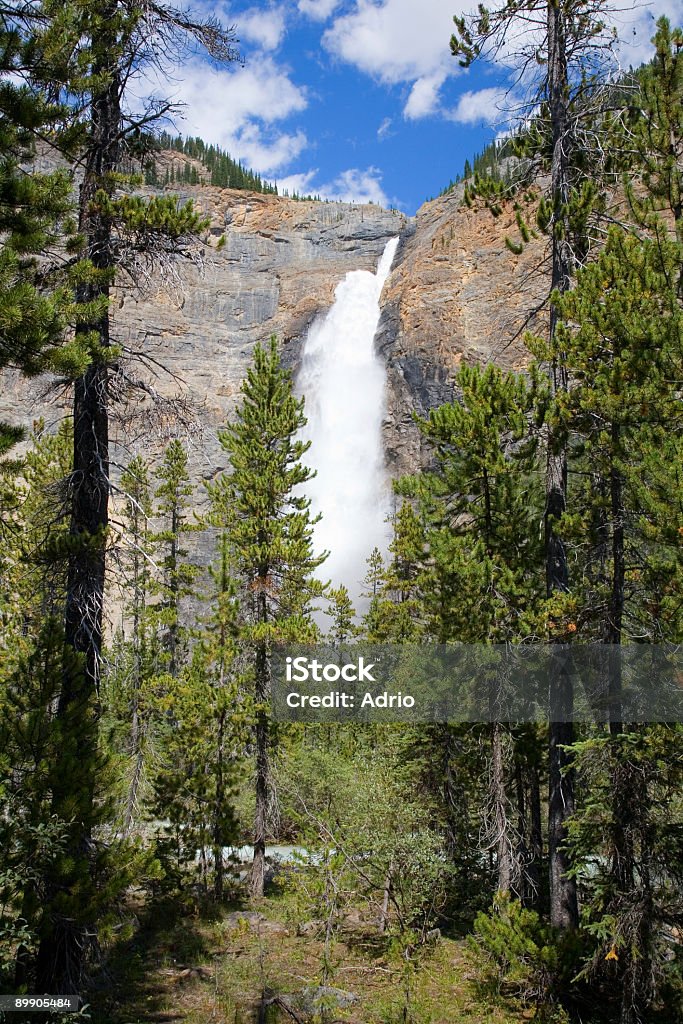 Takkakaw Falls Takkakaw Falls in the Canadian Rocky Mountains. These falls are about three times the height of Niagara and they are fed by the glacier above. Alberta Stock Photo