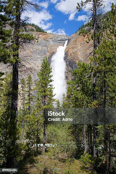 Takkakaw Falls Stock Photo - Download Image Now - Alberta, Animal Wildlife, Canada