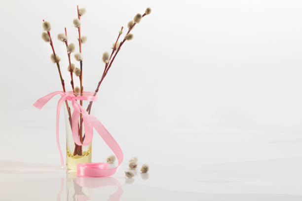 Willow branches with a pink tape in a transparent vase. A bouquet for a Palm Sunday, a white background, a wooden white table, soft focus
