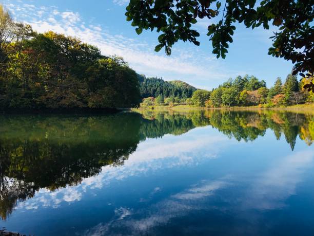 istock Autumn scenery reflected on the water. 899057046