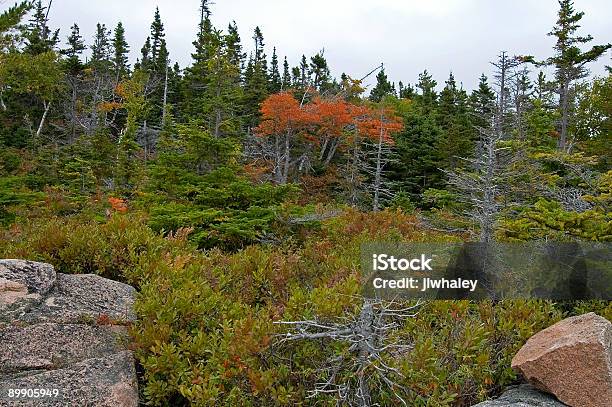 Broad Cove Mtn Cape Breton Highlands Np Ns Stock Photo - Download Image Now - Autumn, Beauty In Nature, Canada