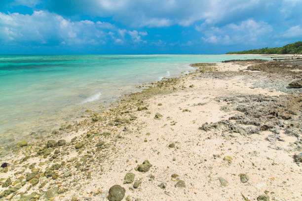 istock View to the Kaiji Beach / Hoshizuna Beach (Taketomi Island/Taketomi-jima, Okinawa) 899060560