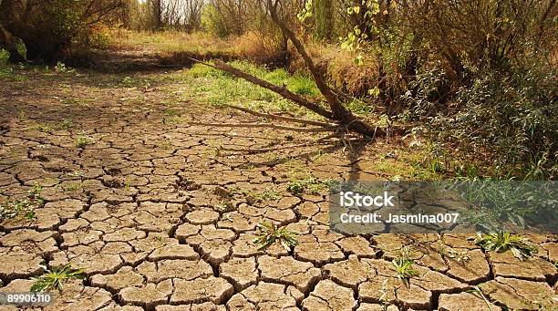 Partido De Terra - Fotografias de stock e mais imagens de Ciclo da Água - Ciclo da Água, Acidente Natural, Agricultura