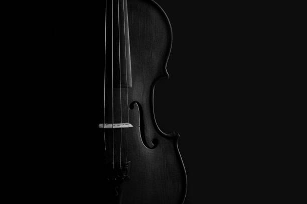 istock Violin black and white artistic conversion with rim lighting 899065664