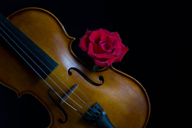 istock Low key violin and rose flower with soft lighting 899066040