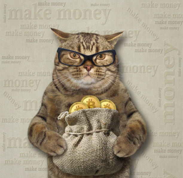 istock Cat with a sack of bitcoins 3 899069352