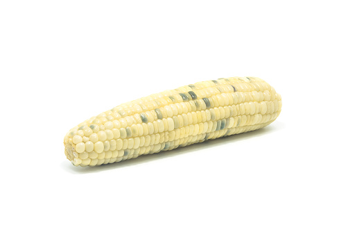 Weißer Mais Auf Weißem Hintergrund Stockfoto und mehr Bilder von Agrarbetrieb - Agrarbetrieb ...