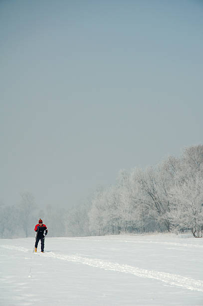 running - scandinavian cross country ski ski nordic countries photos et images de collection