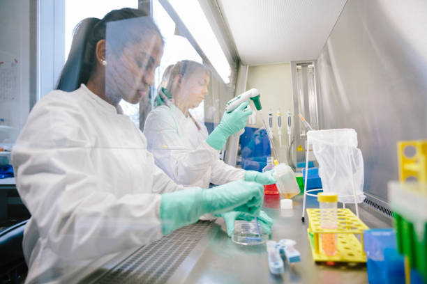 istock Young female scientist works at work bench in laboratory 899074182