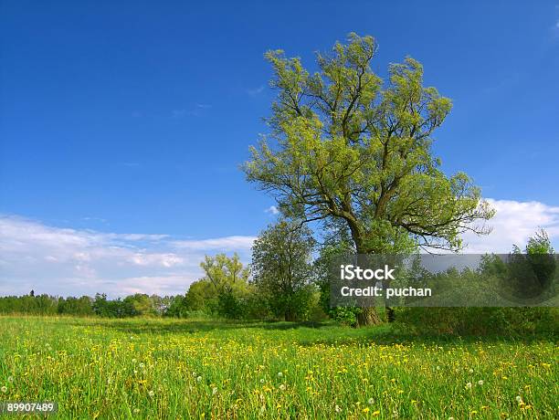 Spring Landscape Stock Photo - Download Image Now - Air Pump, Blue, Color Image