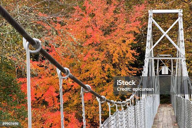 Swinging Bridge Stockfoto und mehr Bilder von Rot - Rot, Seilbrücke, Ahorn