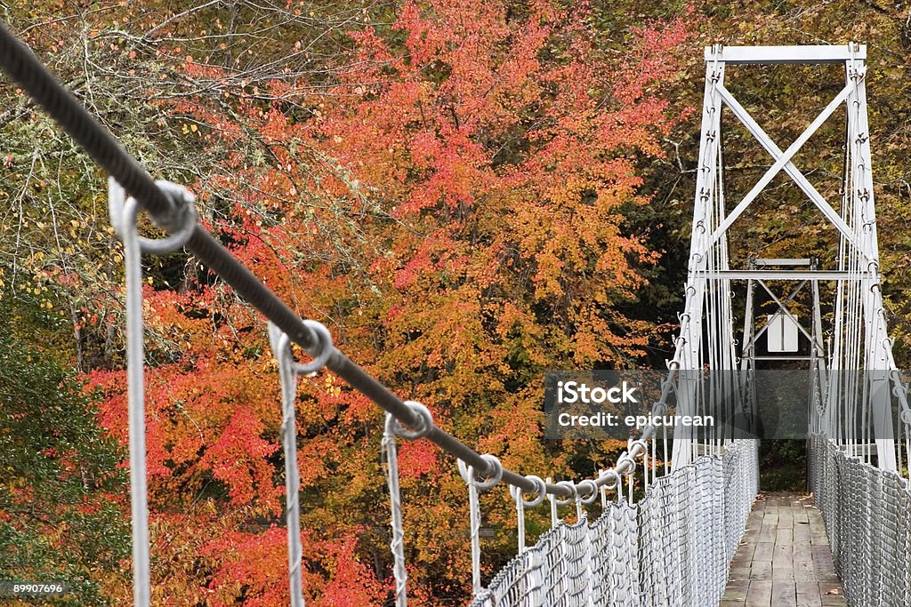 Swinging ponte - Foto stock royalty-free di Ponte di corda