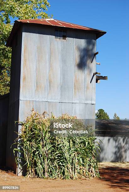 Barn Con Maíz Foto de stock y más banco de imágenes de Aire libre - Aire libre, Aluminio, Azul