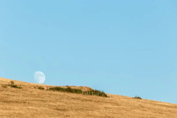 Photo of Moon rising up behind an hill, in an empty, blue sky