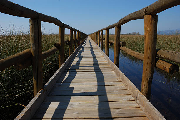 Wood bridge stock photo