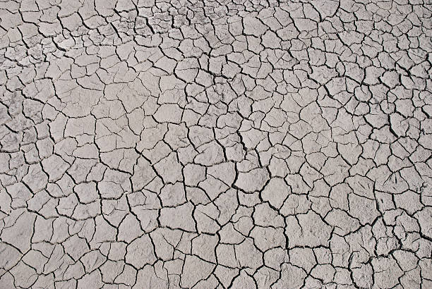 Dried earth stock photo