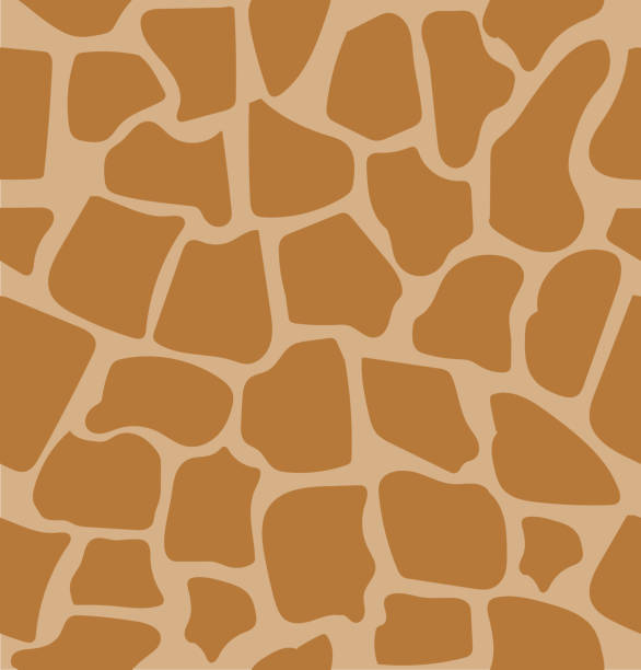 wzór żyrafy tekstura wektor - giraffe pattern africa animal stock illustrations