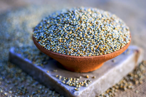 Raw organic Pennisetum glaucum,Bajra pearl millet in a clay bowl. stock photo