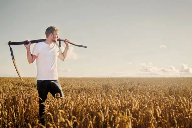 A young farmer rests with a scythe over his shoulders in his fields which are ripe with crops, on a sunny evening.