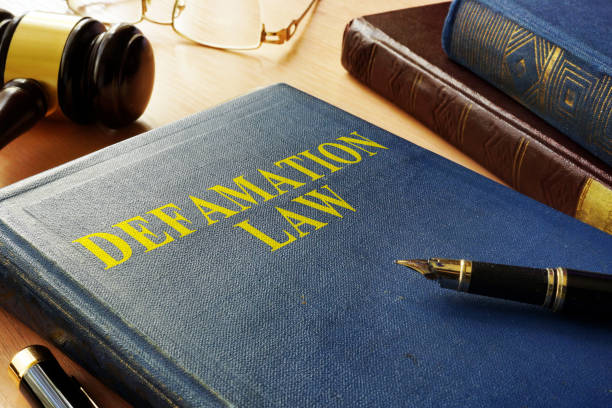 istock Book about Defamation Law and gavel. 899094748