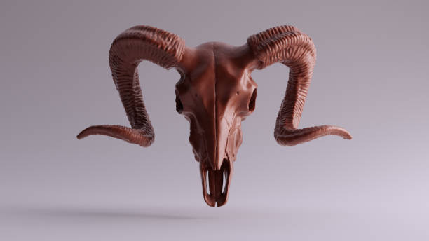 Chocolate Ram Skull Chocolate Ram Skull 3d illustration 3d rendering satan goat stock pictures, royalty-free photos & images