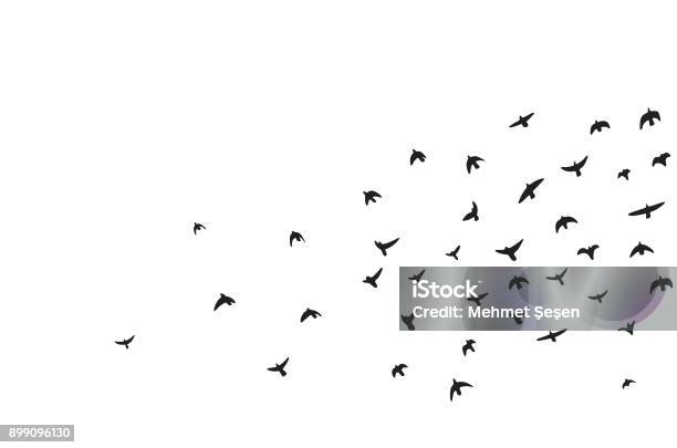 Ilustración de Una Bandada De Aves De Vuelo y más Vectores Libres de Derechos de Pájaros volando en formación - Pájaros volando en formación, Pájaro, Ícono