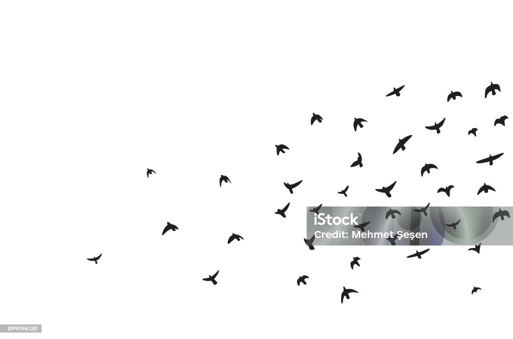 A flock of flying birds flying birs silhouettes Birds Flying in V-Formation stock vector