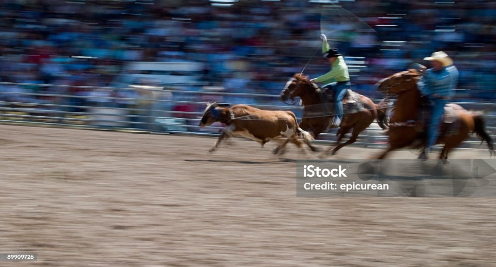 Pantorrilla Ropeing - Foto de stock de Adulto libre de derechos