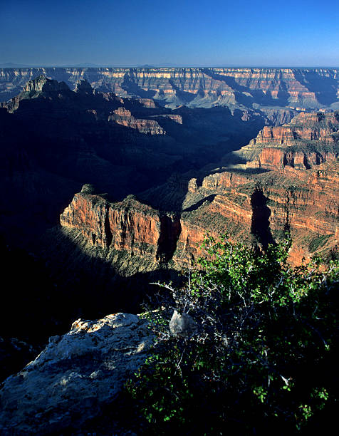 istock Grand Canyon, North Rim 89910268