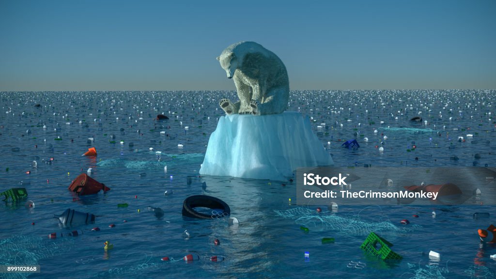 Sad Polar Bear High resolution digital image depicting a single, sad, dirty polar bear, floating on a dwindling chunk of ice, in the center of vast ocean garbage patch. Image is intended to illustrate themes like environmental degredation, ocean pollution, habitat loss, global warming, and climate change in general. Climate Change Stock Photo