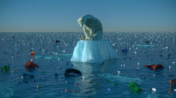 Sad Polar Bear High resolution digital image depicting a single, sad, dirty polar bear, floating on a dwindling chunk of ice, in the center of vast ocean garbage patch. Image is intended to illustrate themes like environmental degredation, ocean pollution, habitat loss, global warming, and climate change in general. iceberg ice formation photos stock pictures, royalty-free photos & images
