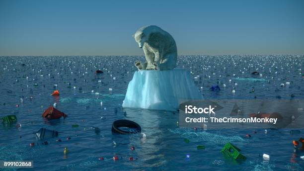 Sad Polar Bear Stock Photo - Download Image Now - Climate Change, Pollution, Sea