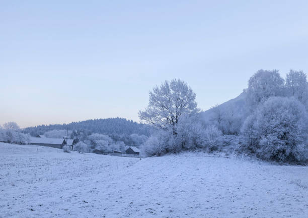 istock Winter in the Gailtal 899103260