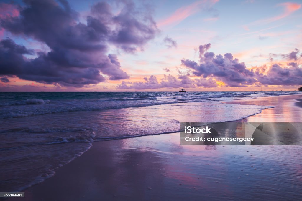 Coastal landscape in ultra violet tone Coastal landscape in ultra violet tone. Atlantic Ocean coast, Bavaro beach, Hispaniola Island. Dominican Republic Purple Stock Photo