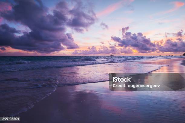 Coastal Landscape In Ultra Violet Tone Stock Photo - Download Image Now - Purple, Sunset, Beach